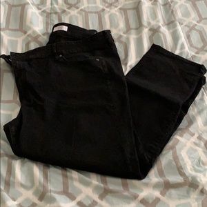 LOFT plus Straight Leg Jeans